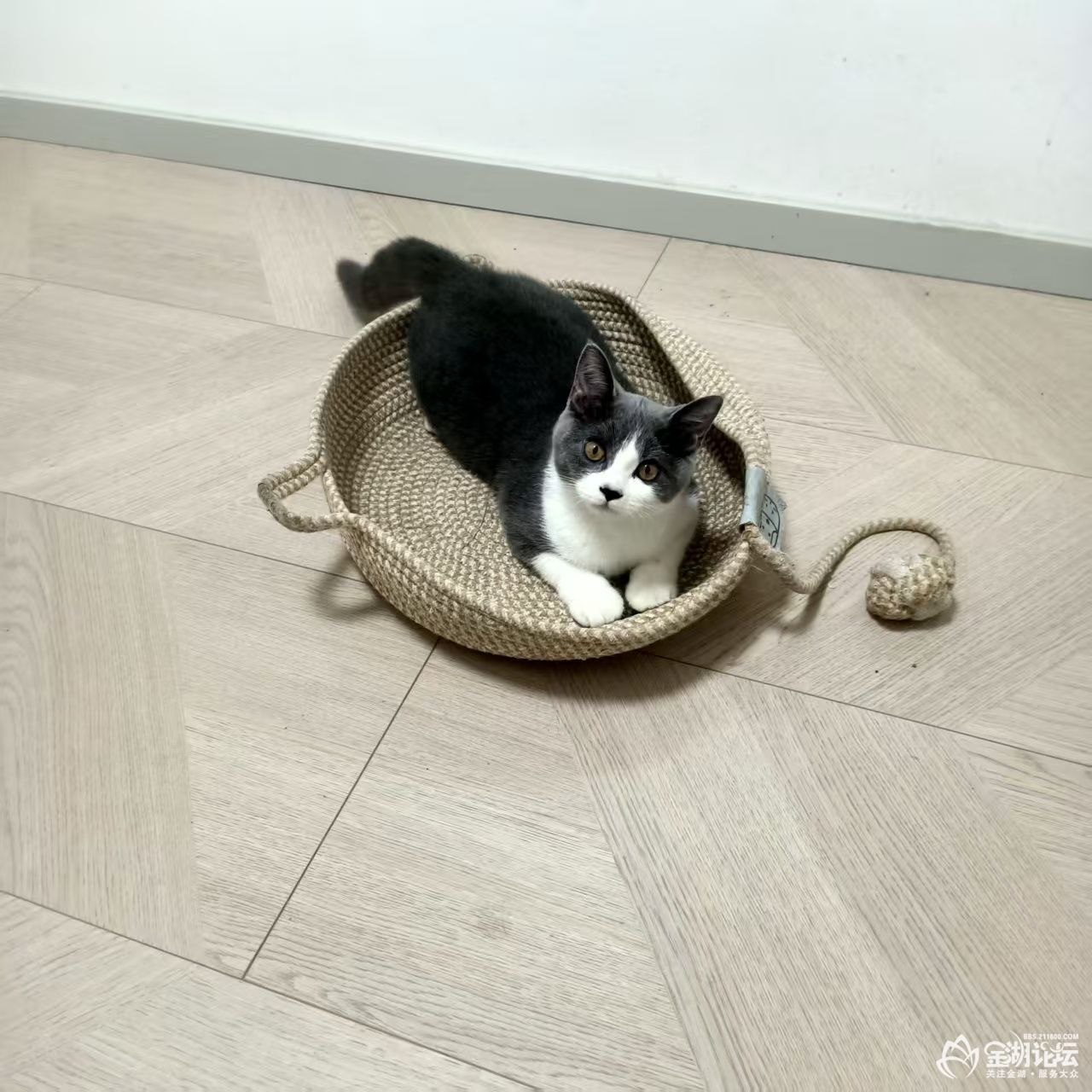 �������è��
