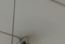 ʵСѧ