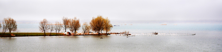 Ƭ 034̲4  900.jpg