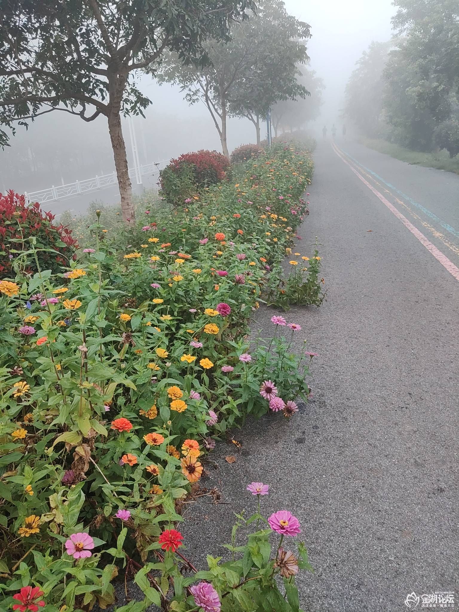 1759815421570444_433.jpg