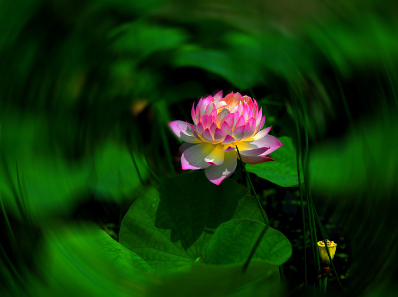 DSC_8061-1-1_.jpg